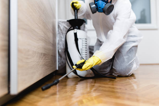 Best Pest Prevention Services  in Lamar, TX