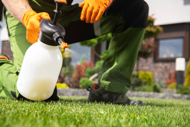 Best Wildlife Control Services  in Lamar, TX