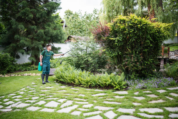 Best Best Pest Control Companies  in Lamar, TX