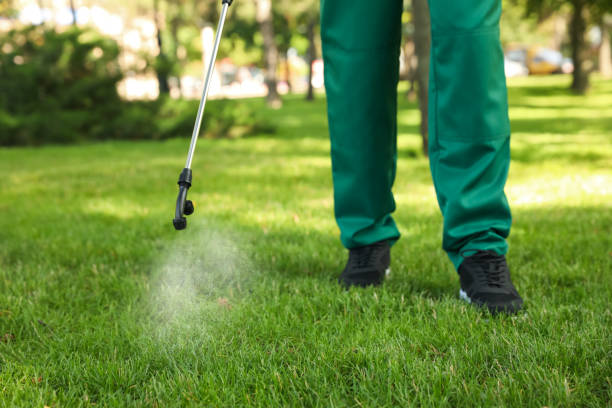 Best Pest Inspection Near Me  in Lamar, TX