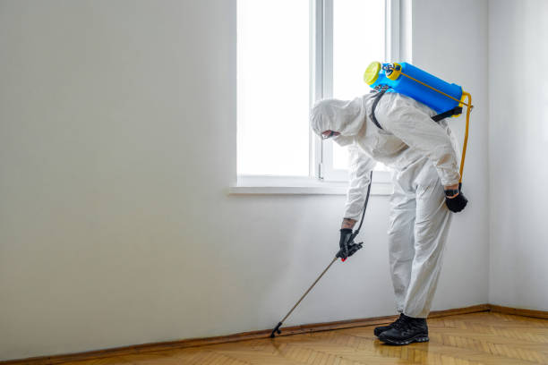 Wasp Removal Services in Lamar, TX