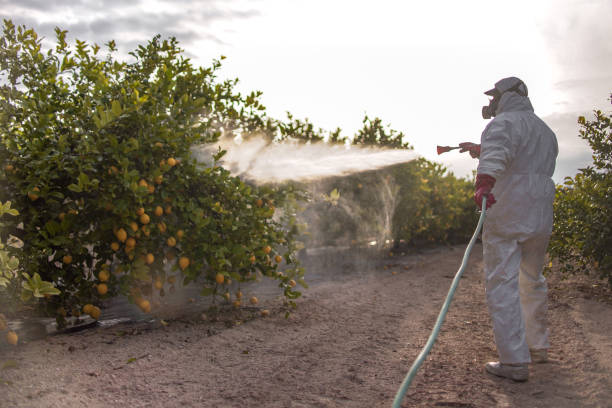 Wildlife Control Services in Lamar, TX