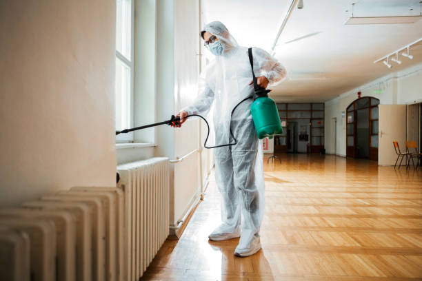 Best Termite Control Services  in Lamar, TX